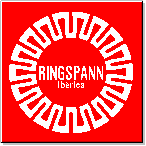 德國(guó)RINGSPANN逆止器
